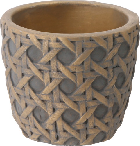 ナチュラルメッシュカップの画像