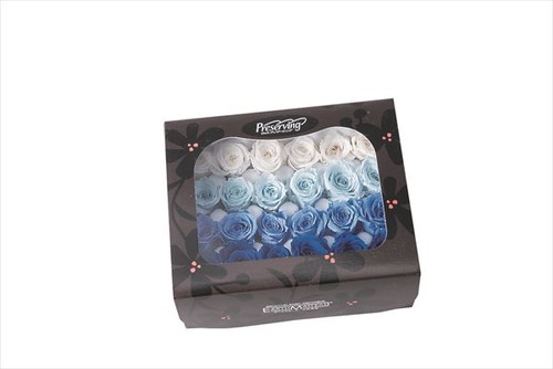 ビビアン・カラーアソート ブルーミックス【ブルーミックス】の画像