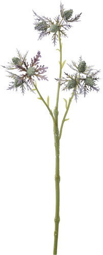 エリンジウムスプレー【ラベンダー】の画像