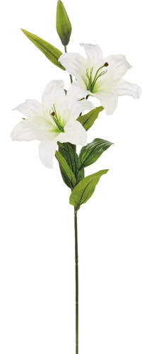 カサブランカ×2【ホワイト】の画像