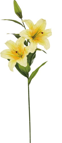 カサブランカ×2【イエロー】の画像