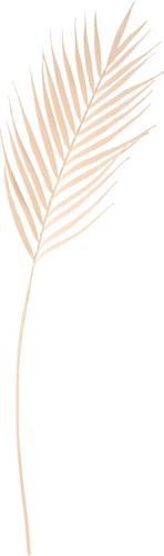 ドライドパームスプレー【ベージュ】の画像