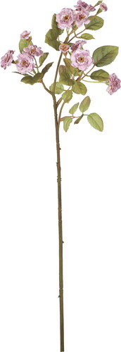 ポラニエポンポンローズ【モーブ】の画像