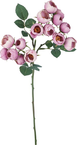 ブルーミングローズスプレー【モーブ】の画像