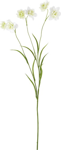 イースタートランペットの画像