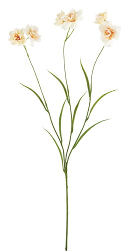 イースタートランペットの画像