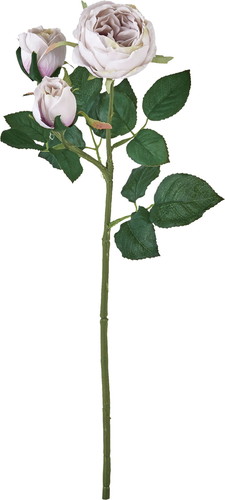 ガーデンローズスプレー【ライトラベンダー】の画像