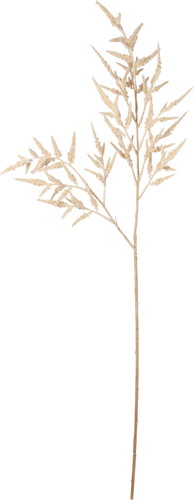 アスチルベスプレー【ベージュ】の画像