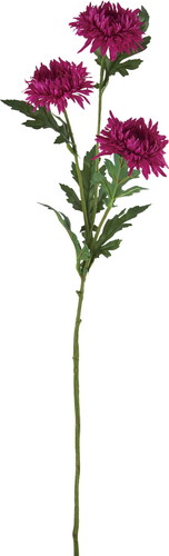 アスタースプレー【ラベンダー】の画像