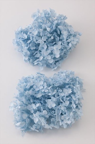 アナベル・ヘッド ベビーブルー【ベビーブルー】の画像