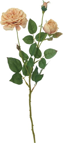 オールドローズスプレー【ピンク】の画像