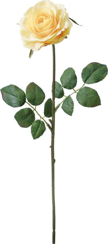 メリルローズ【イエロー】の画像