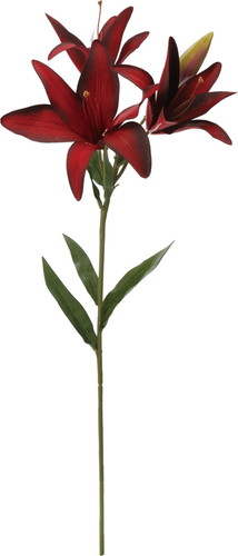 オルフェオリリー【ワイン】の画像