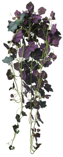 グレープハンギングブッシュ【グリーン】の画像