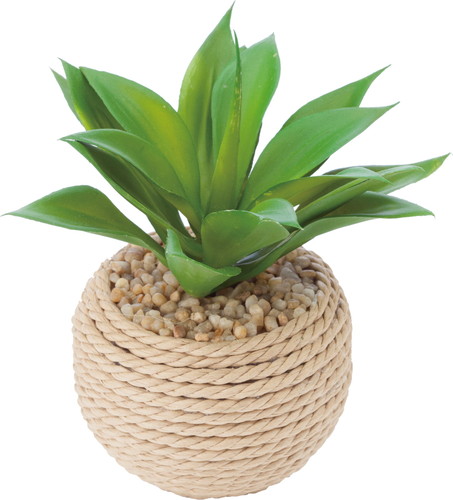 アガベロープポット【グリーン】の画像