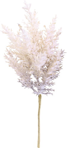 ドライパンパスショート【ライトピンク】の画像