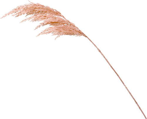 ドゥループパンパススプレー【モーブ】の画像