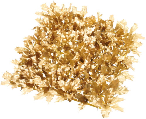 ゴールドホーリーマットの画像