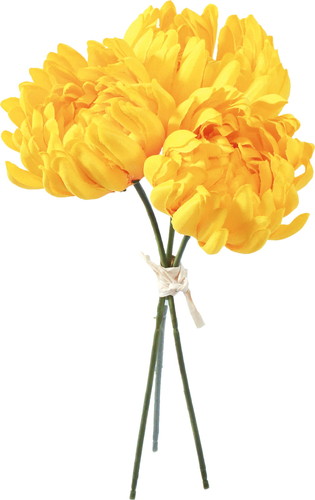 つぼみ菊バンチ×3【イエロー】の画像