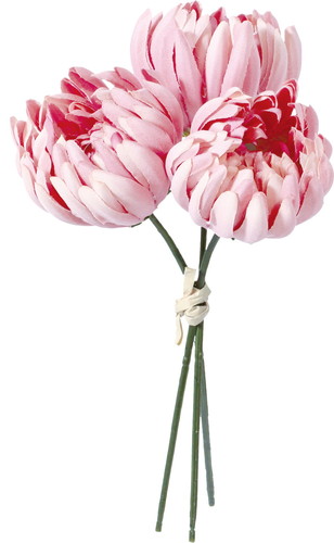 つぼみ菊バンチ×3【ピンク】の画像