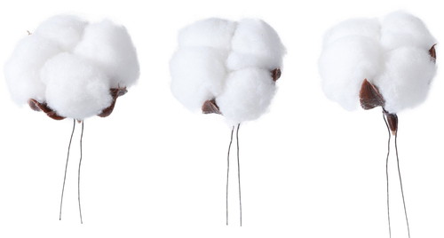 コットンワイヤー3P【ブラウン】の画像