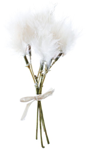 フェザーピック4P【ホワイト】の画像