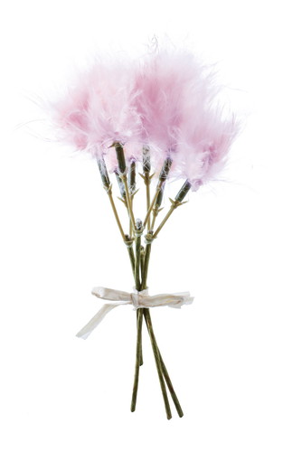 フェザーピック4P【ピンク】の画像