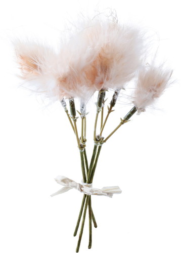 フェザーピック4P【ベージュ】の画像