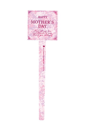 LIMEX・ピック 約8X29CM/24枚 12 MDAYリラの画像