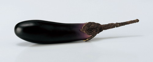 エッグプラントの画像