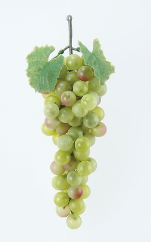 グレープの画像