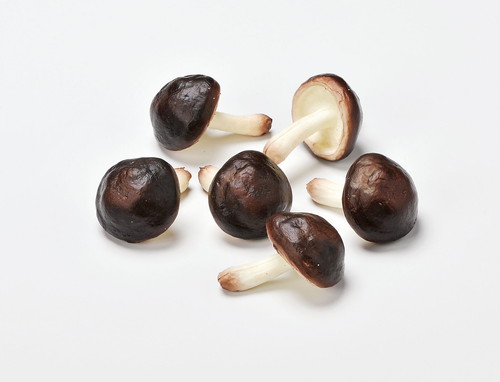 シイタケ(1袋6コ入)の画像