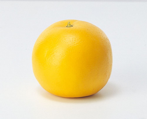 グレープフルーツの画像