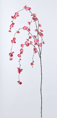 しだれ梅×58 つぼみ×12の画像