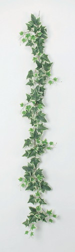 アイビーガーランドの画像