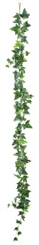 アイビーガーランドの画像
