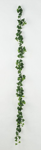 アイビーガーランドの画像