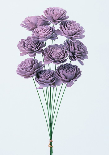 ソーラーローズ 小 クラウドピンク【クラウドピンク】の画像