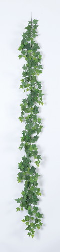 アイビーガーランドの画像