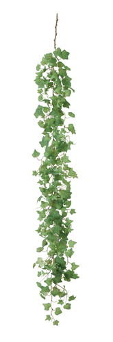 アイビーガーランドの画像