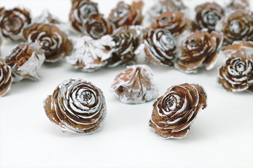 シダローズヘッド スノー【スノー】の画像