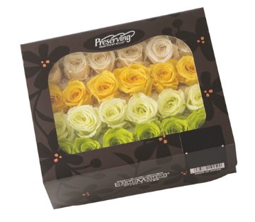 ビビアン・カラーアソート グリーンミックス【グリーンミックス】の画像