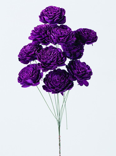 ソーラーローズ 大 ワインレッド【ワインレッド】の画像