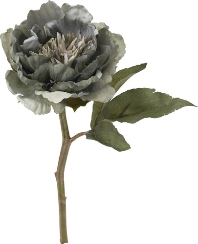 アートピオニーショート【ダークグレー】の画像