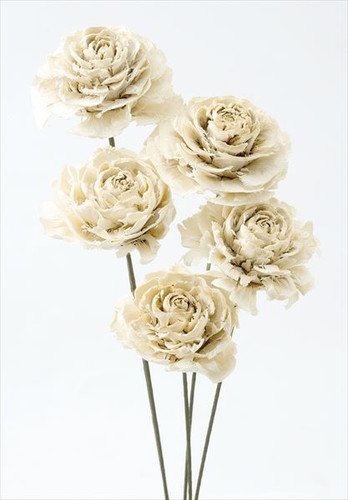 シダローズ オフホワイト【オフホワイト】の画像