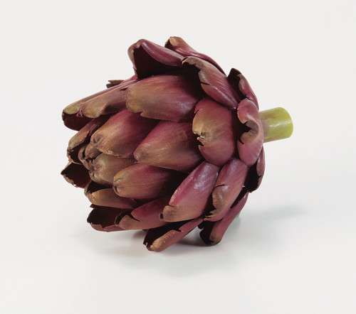 アーティチョークの画像