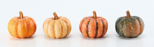 パンプキンの画像