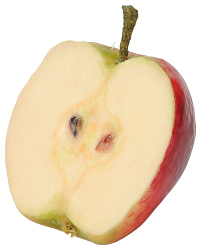 カットアップルの画像