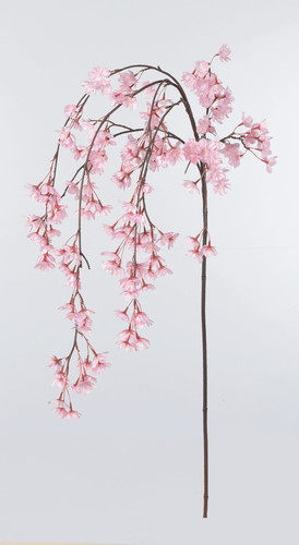 しだれ桜×182 つぼみ×3画像