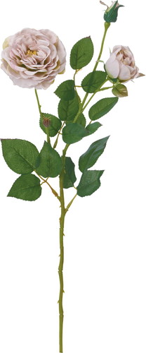 オールドローズスプレー【グリーンラベンダー】の画像